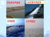 8.2 海水曬鹽之粗鹽的提純-2024-2025學年九年級化學魯教版下冊 課件