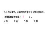 初中化學(xué)新人教版九年級下冊第八單元課題3練習(xí)與應(yīng)用教學(xué) 課件2025春