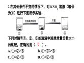 初中化學(xué)新人教版九年級(jí)下冊(cè)第九單元課題3練習(xí)與應(yīng)用教學(xué) 課件2025春