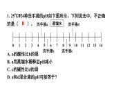 初中化學(xué)新人教版九年級(jí)下冊(cè)第十單元復(fù)習(xí)與提高教學(xué) 課件2025春