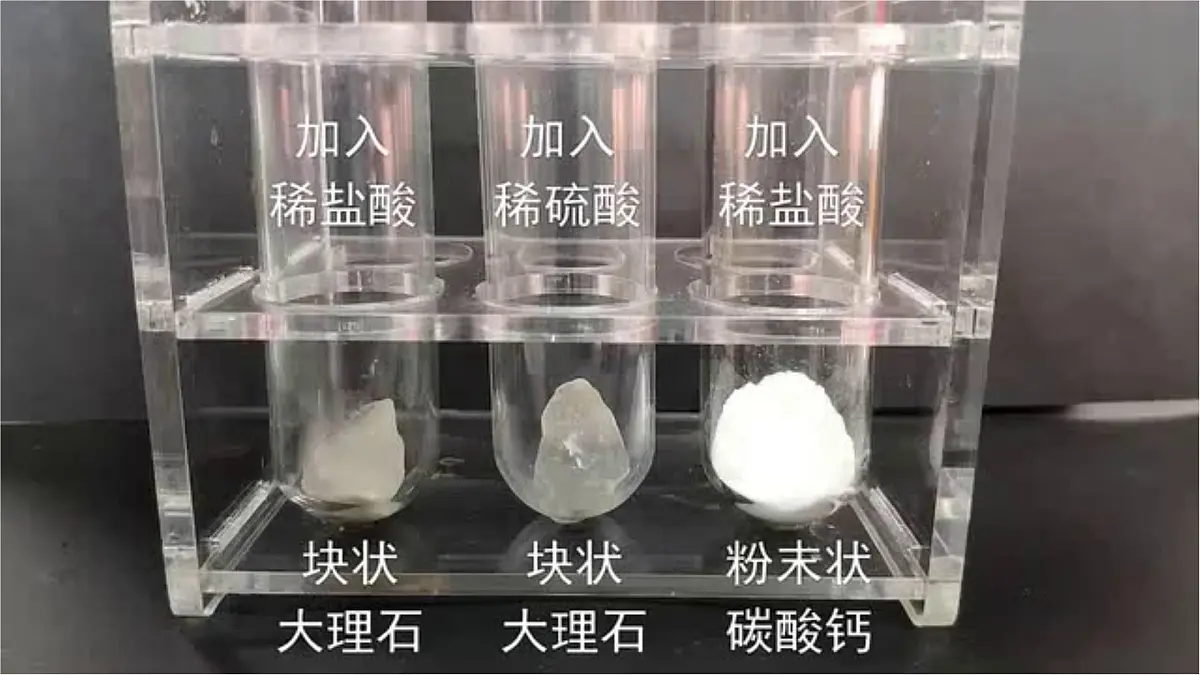 第六单元 课题3 二氧化碳的实验室制取课件-2024-2025学年九年级化学人教版（2024）上册第6页