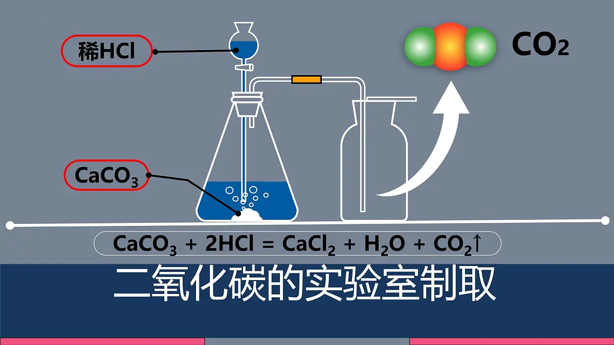 第六单元课题3 二氧化碳的实验室制取课件-2024-2025学年九年级化学人教版（2024）上册第1页