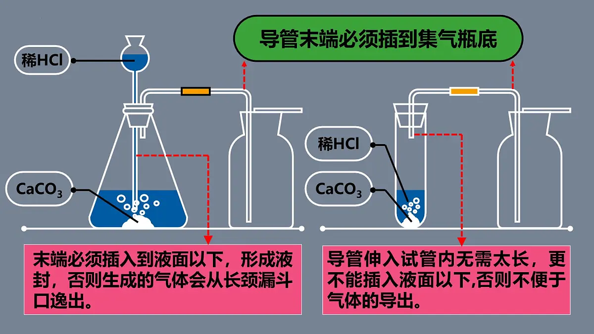 第六单元课题3 二氧化碳的实验室制取课件-2024-2025学年九年级化学人教版（2024）上册第8页
