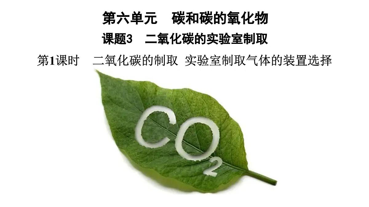 第六单元课题3二氧化碳的实验室制取第1课时课件-2024-2025学年九年级化学人教版（2024）上册第1页