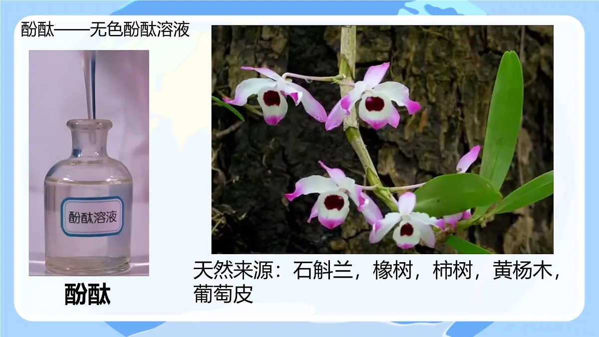 10.1溶液的酸碱性课件---2024-2025学年九年级化学人教版（2024）下册第8页