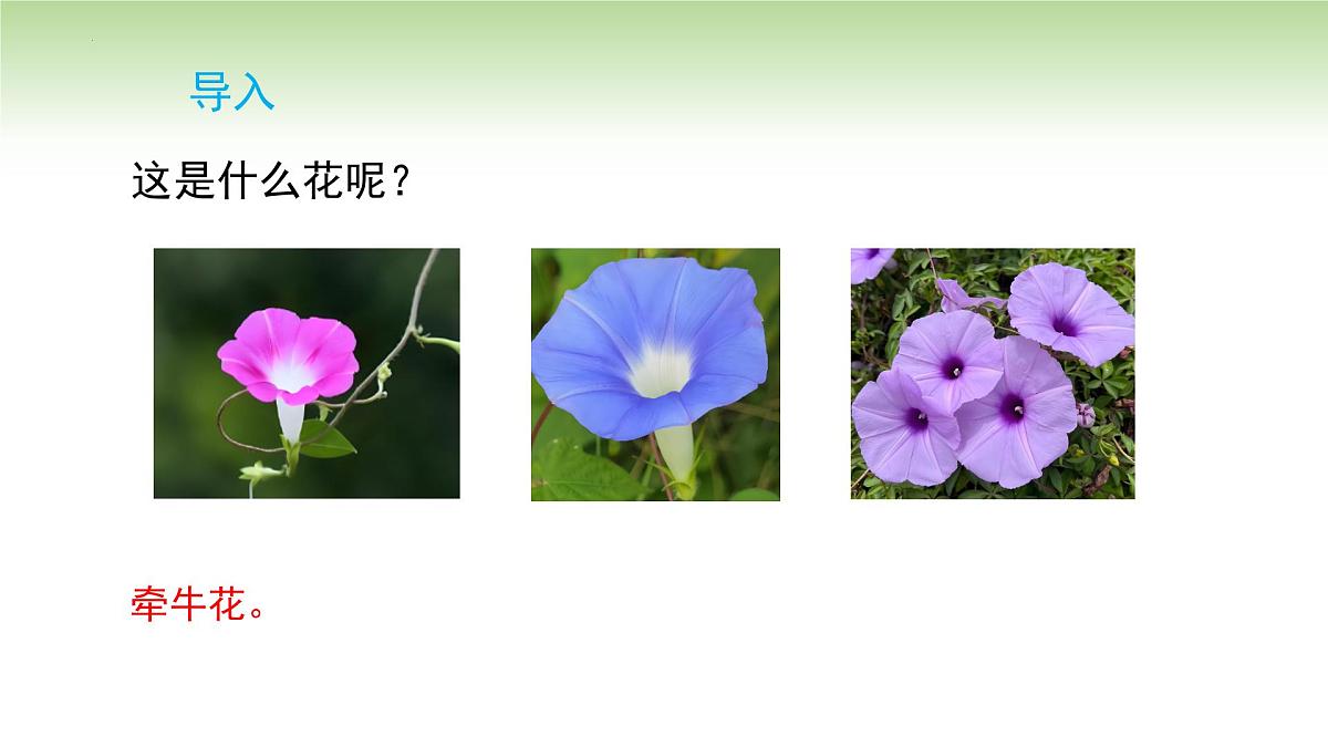 10.1溶液的酸碱性课件---2024-2025学年九年级化学人教版(2024)下册第4页