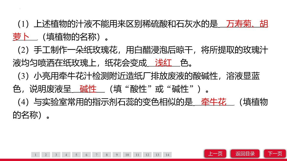 10.1溶液的酸碱性课件---2024-2025学年九年级化学人教版（2024）下册第6页