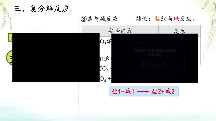 10.3常见的盐（第2课时 复分解反应）课件——2024-2025学年九年级化学人教版（2024）下册第4页
