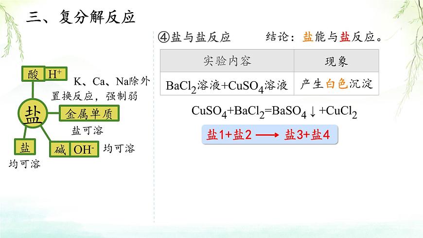 10.3常见的盐（第2课时 复分解反应）课件——2024-2025学年九年级化学人教版（2024）下册第5页