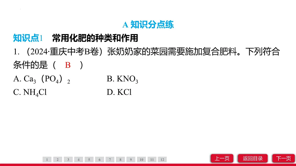 10.3常见的盐（第3课时）课件---2024-2025学年九年级化学人教版（2024）下册第3页