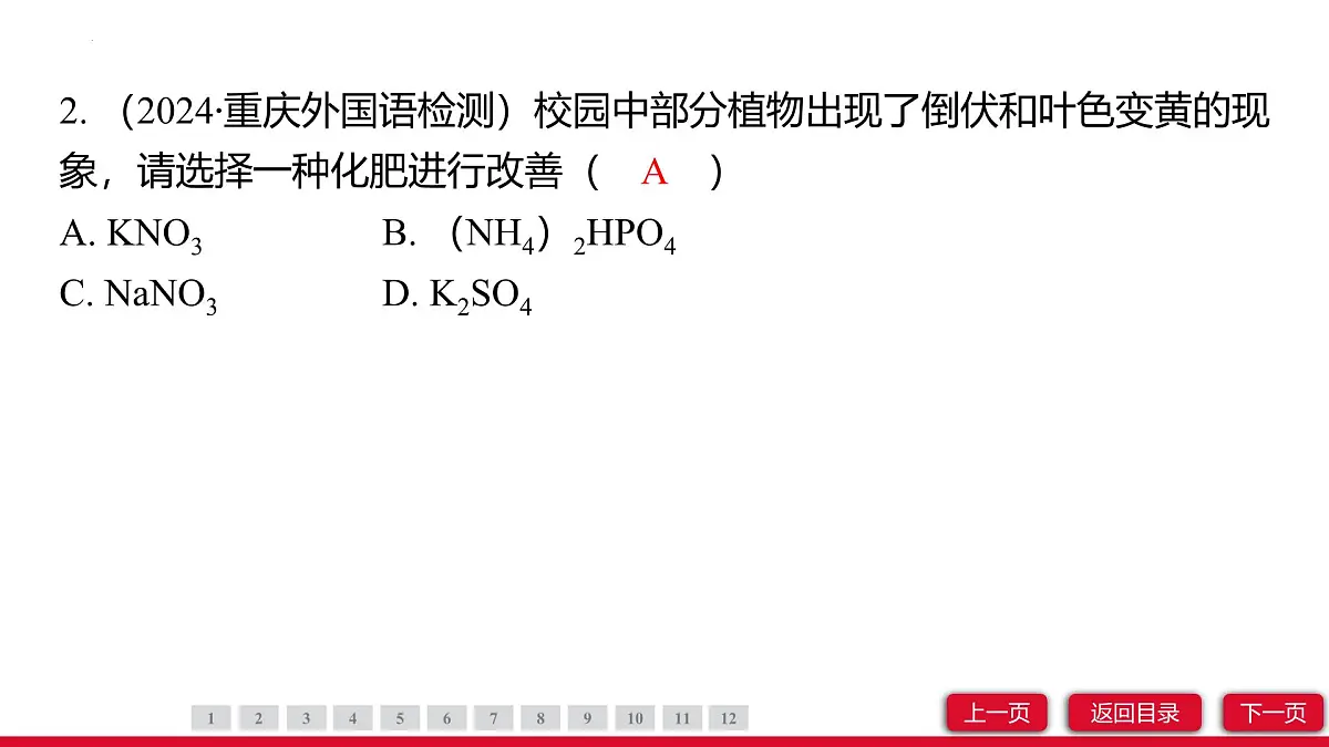 10.3常见的盐（第3课时）课件---2024-2025学年九年级化学人教版（2024）下册第4页