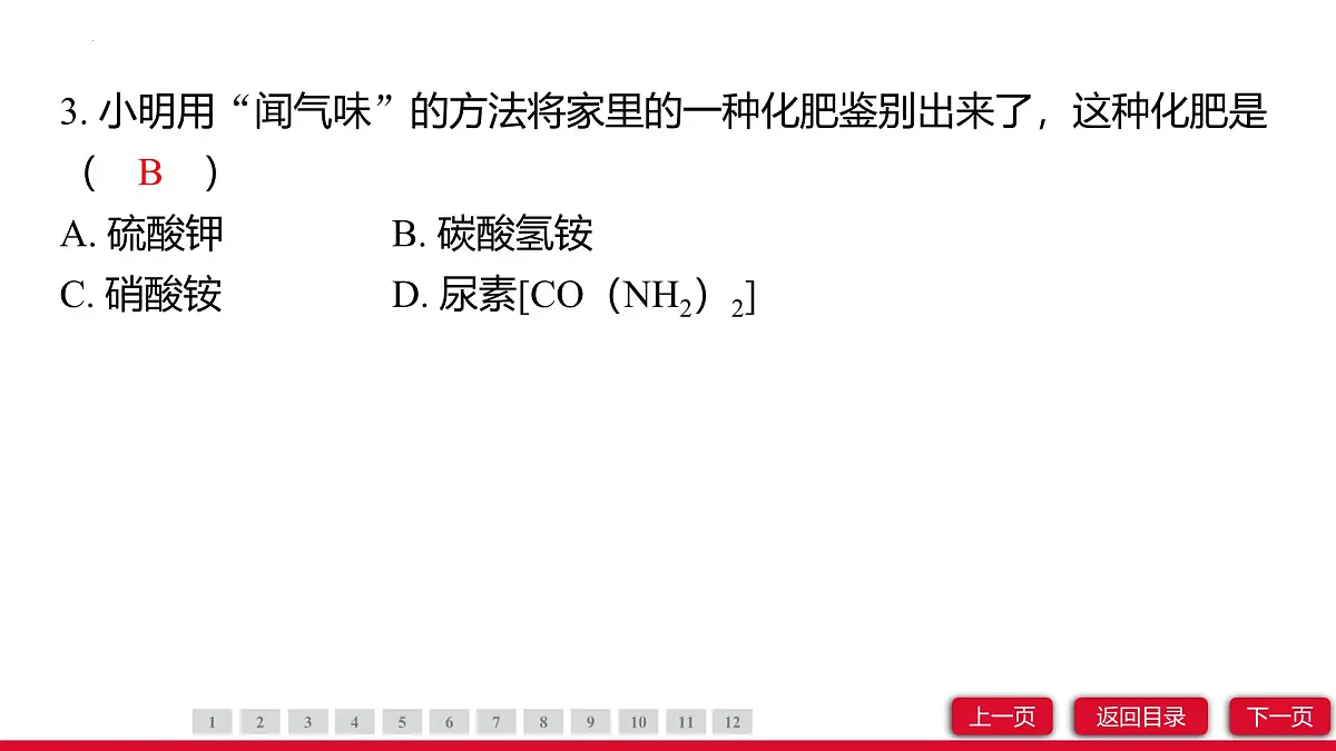 10.3常见的盐（第3课时）课件---2024-2025学年九年级化学人教版（2024）下册第5页