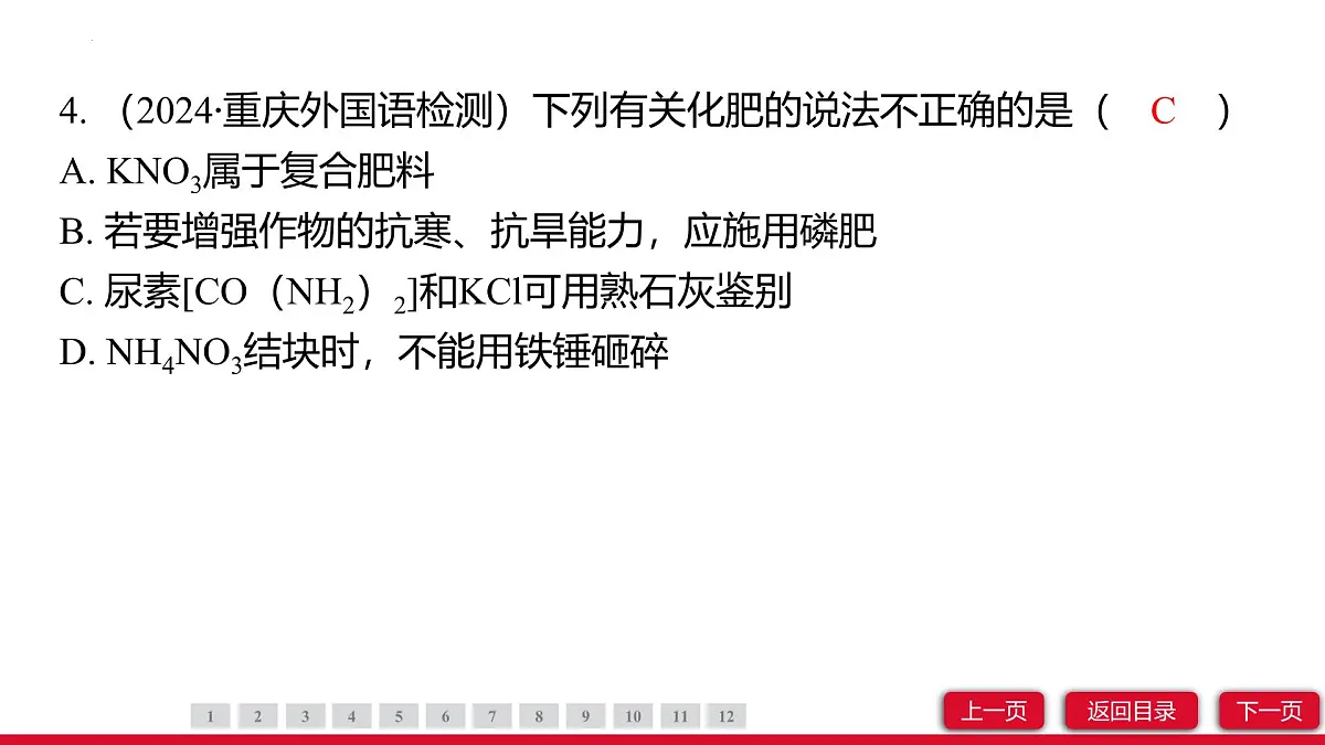 10.3常见的盐（第3课时）课件---2024-2025学年九年级化学人教版（2024）下册第6页