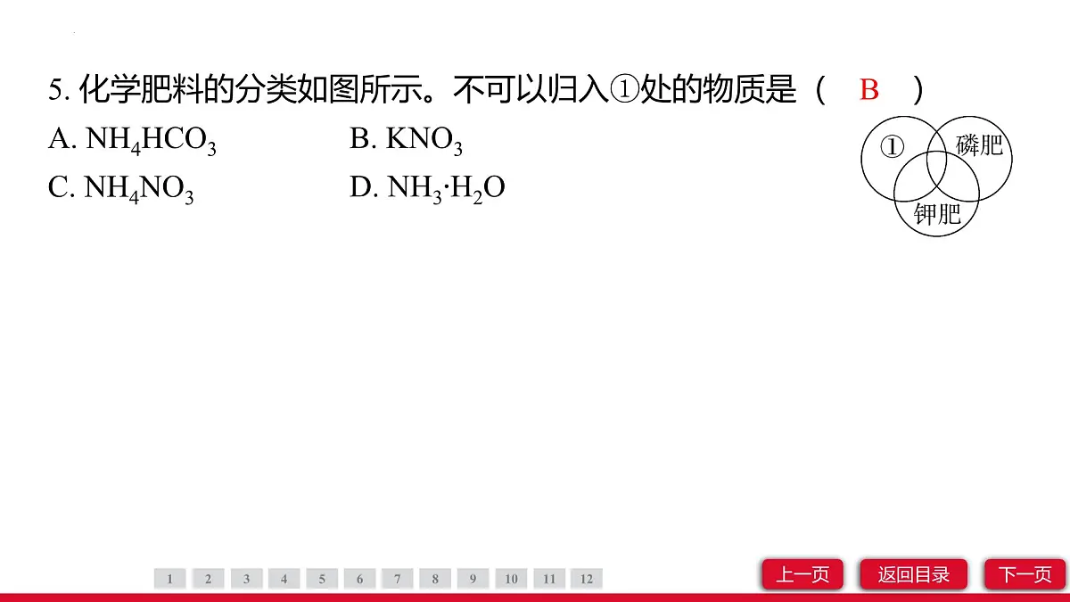 10.3常见的盐（第3课时）课件---2024-2025学年九年级化学人教版（2024）下册第7页