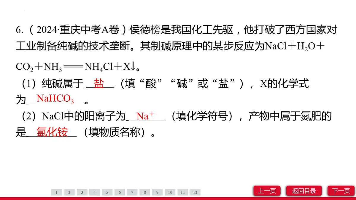 10.3常见的盐（第3课时）课件---2024-2025学年九年级化学人教版（2024）下册第8页