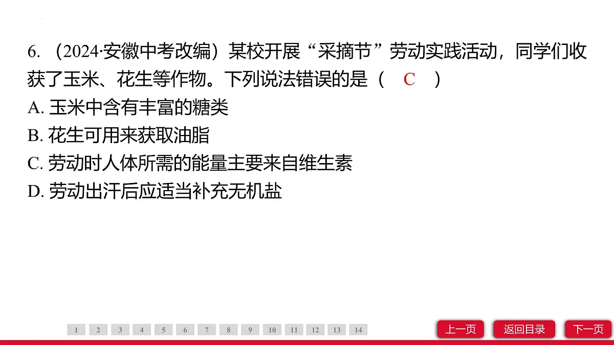 11.1化学与人体健康课件---2024-2025学年九年级化学人教版（2024）下册第8页