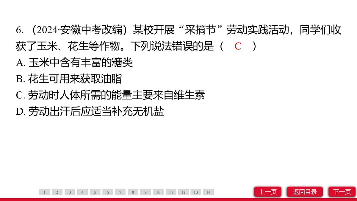 11.1化学与人体健康课件---2024-2025学年九年级化学人教版（2024）下册第8页