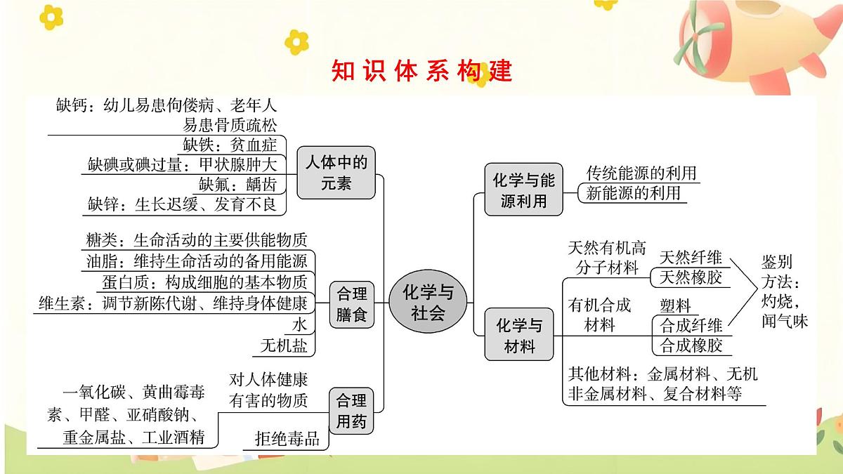 2025年中考化学一轮复习第十一单元化学与社会课件第2页
