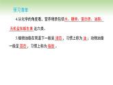 11.1化學與人體健課件---2024-2025學年九年級化學人教版(2024)下冊