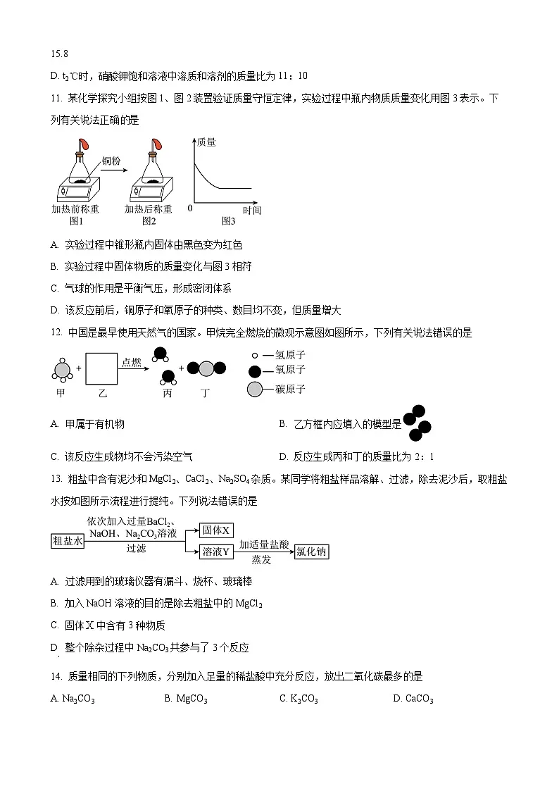 2025年河南省洛阳市洛宁县中考一模化学试题（原卷版+解析版）第3页