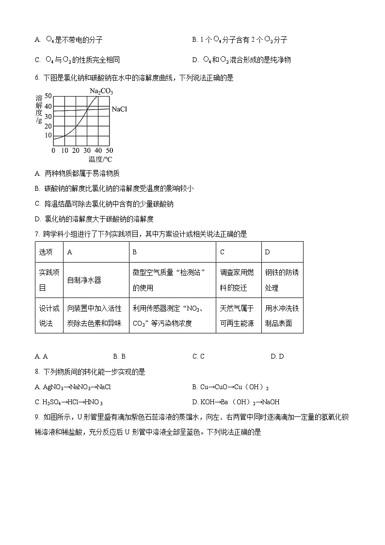 2025年山东省金乡县中考一模化学试题（原卷版+解析版）第2页