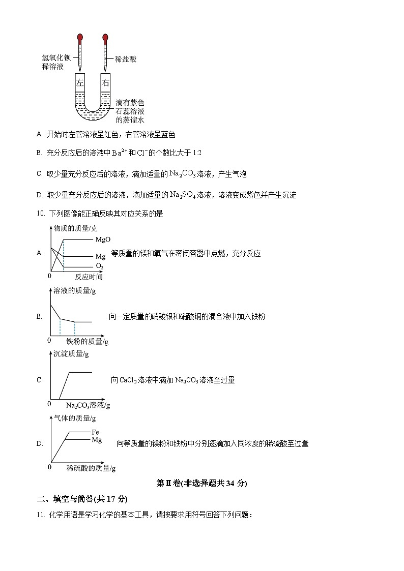 2025年山东省金乡县中考一模化学试题（原卷版+解析版）第3页