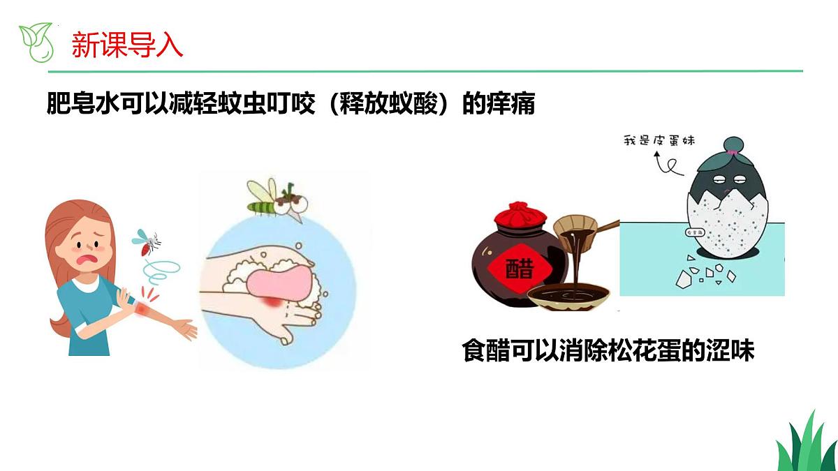 7.4酸碱中和反应-2024-2025学年九年级化学同步课件（鲁教版2024下册）第2页