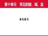 第十單元常見(jiàn)的酸、堿、鹽單 元 復(fù) 習(xí)課件 -2024～2025學(xué)年人教版化學(xué)九年級(jí)下冊(cè)