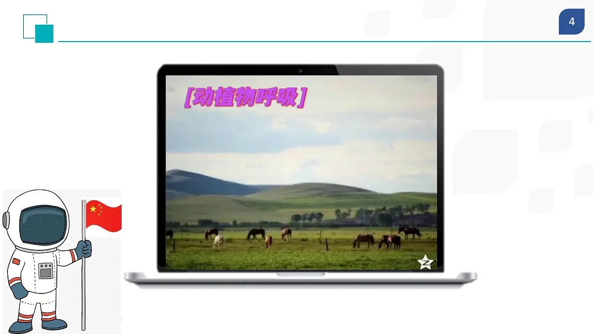 第二单元氧气的性质复习课课件-2024-2025学年九年级化学人教版上册第4页