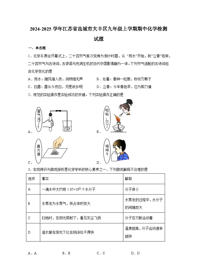 2024-2025学年江苏省盐城市大丰区九年级上册期中化学检测试题（附答案）第1页