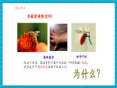 【新教材】科粵版化學九年級下冊8.3《酸和堿反應》課件+教學設計(表格式)+分層作業(yè)