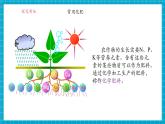 【新教材】科粵版化學九年級下冊8.5《化學肥料》課件+教學設計(表格式)+分層作業(yè)