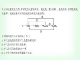 粵科版九年級化學下冊第八單元常見的酸、堿、鹽微專題四物質的相互轉化與推斷課件