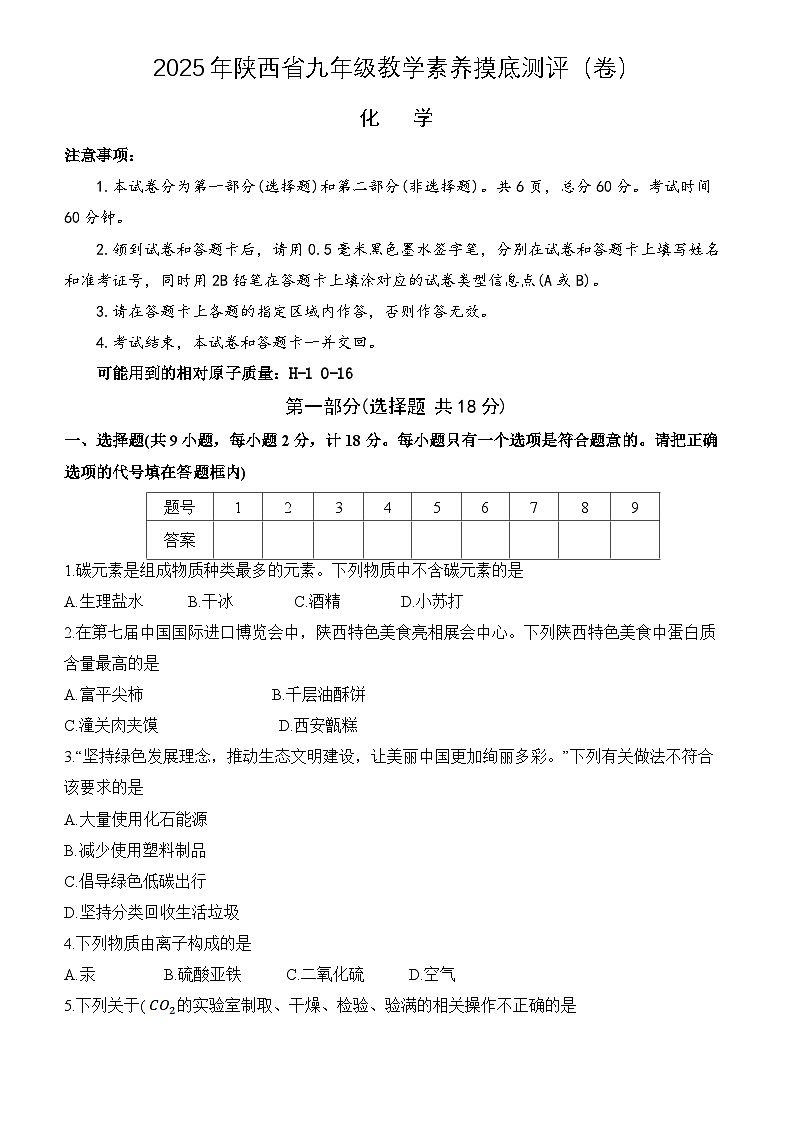 2025年陕西省九年级教学素养摸底测评（卷）-化学第1页