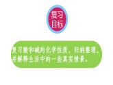 第10單元酸和堿化學(xué)性質(zhì)復(fù)習(xí)課件---2024-2025學(xué)年九年級(jí)化學(xué)人教版（2024）下冊(cè)