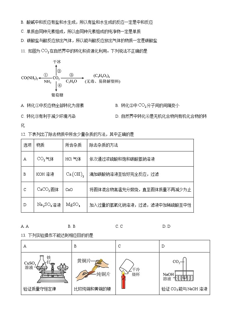 江苏省南京市树人学校2024-2025学年九年级下学期第一次月考化学试题（原卷版+解析版）第3页