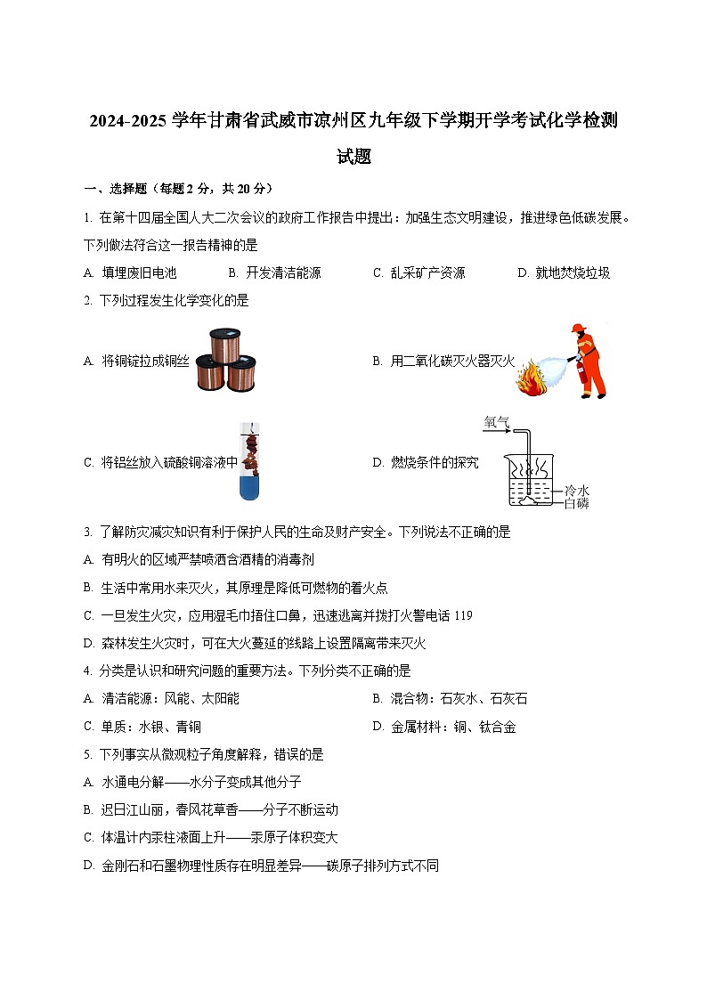 2024-2025学年甘肃省武威市凉州区九年级下册开学考试化学检测试题（附答案）第1页