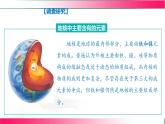 3.2 組成物質(zhì)的化學(xué)元素（第二課時） 2025學(xué)年九年級化學(xué)滬教版（2024）上冊 課件