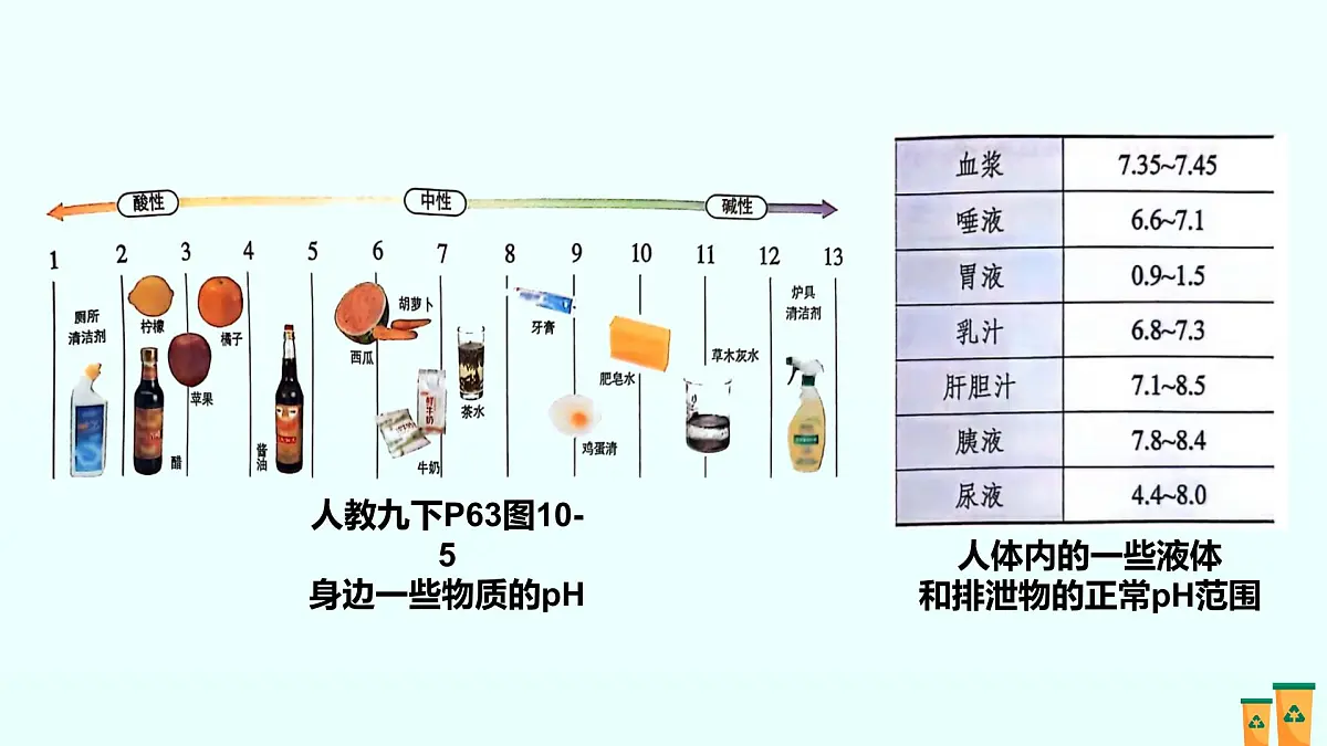 10.第十单元 常见的酸、碱、盐（人教版）-2025版中考化学三轮复习（回归教材）课件第5页