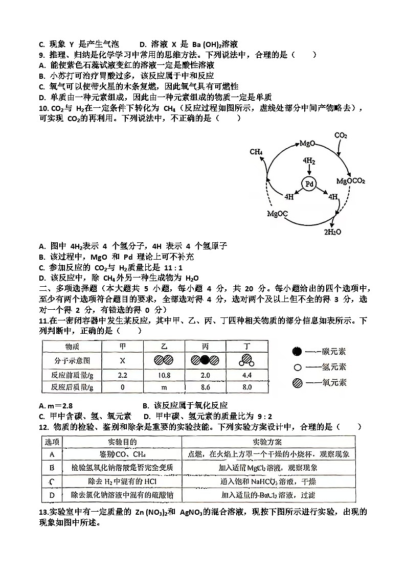 2025年济南高新区九年级中考化学一模考试试题（含答案）第3页