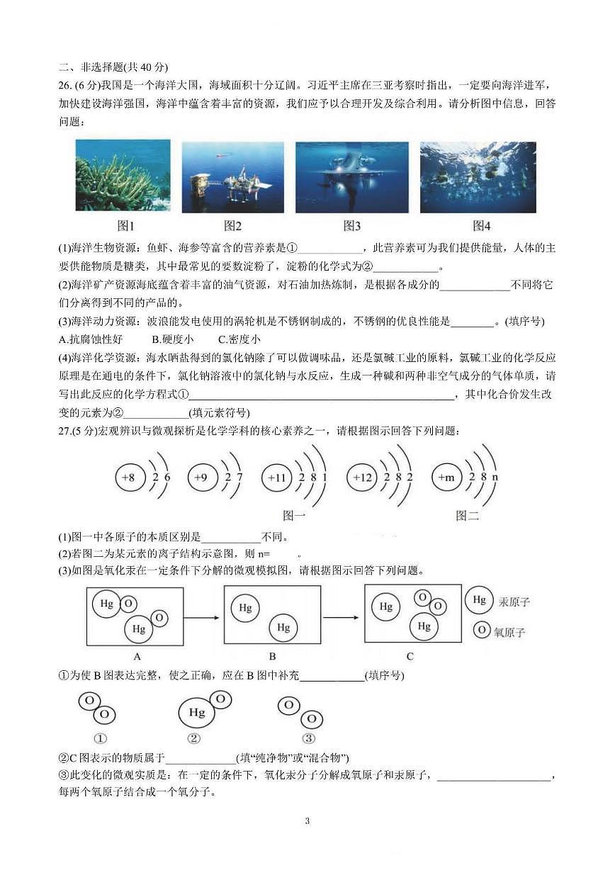 2025年哈尔滨市松雷中学中考校一模化学试卷和答案第3页