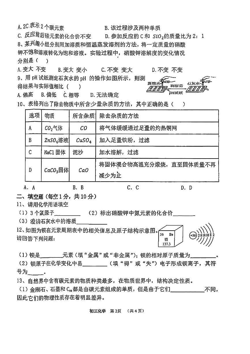 甘肃省临夏回族自治州康乐县流川中学2024--2025学年九年级下学期第一次月考化学试卷第2页