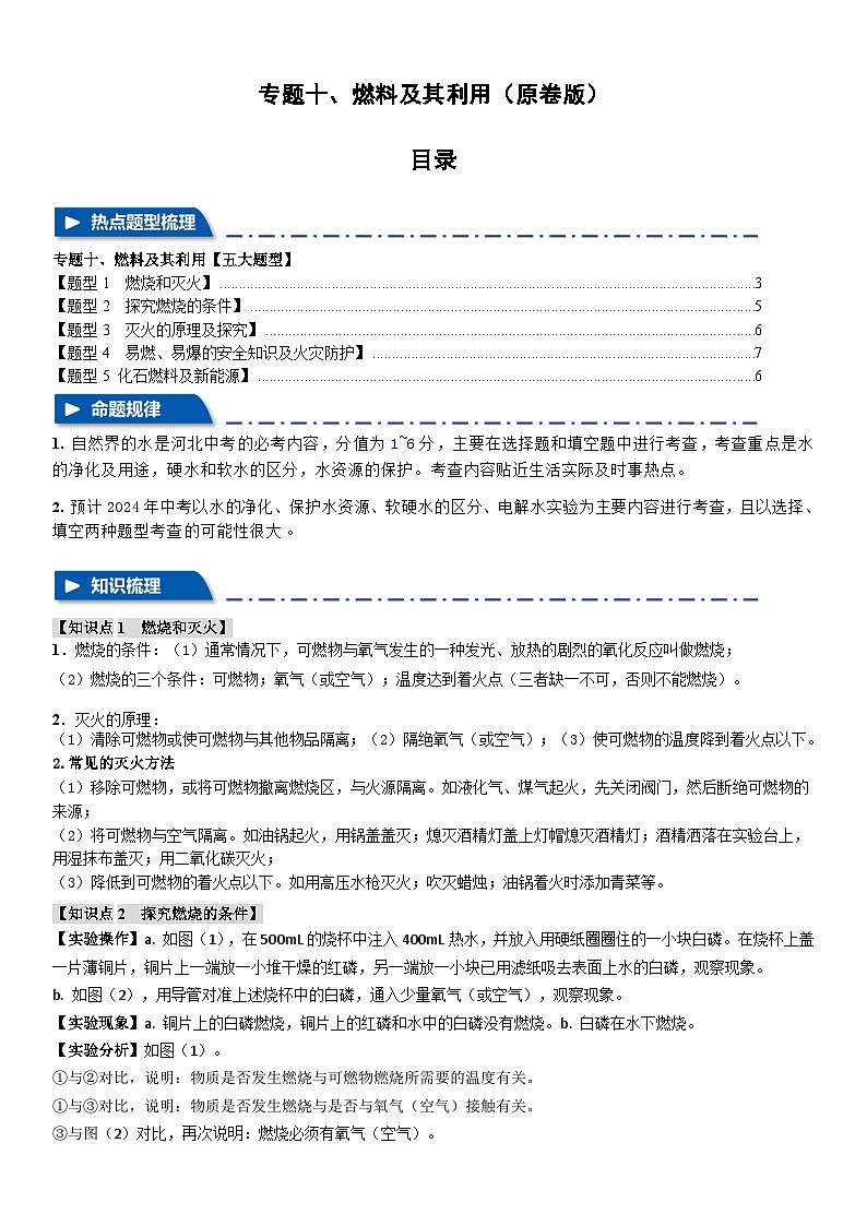 专题十 燃料及其利用【五大题型】（原卷版）第1页