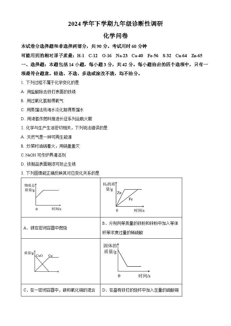 广东省广州市越秀区华侨外国语学校2024-2025学年九年级下学期期中化学试题第1页