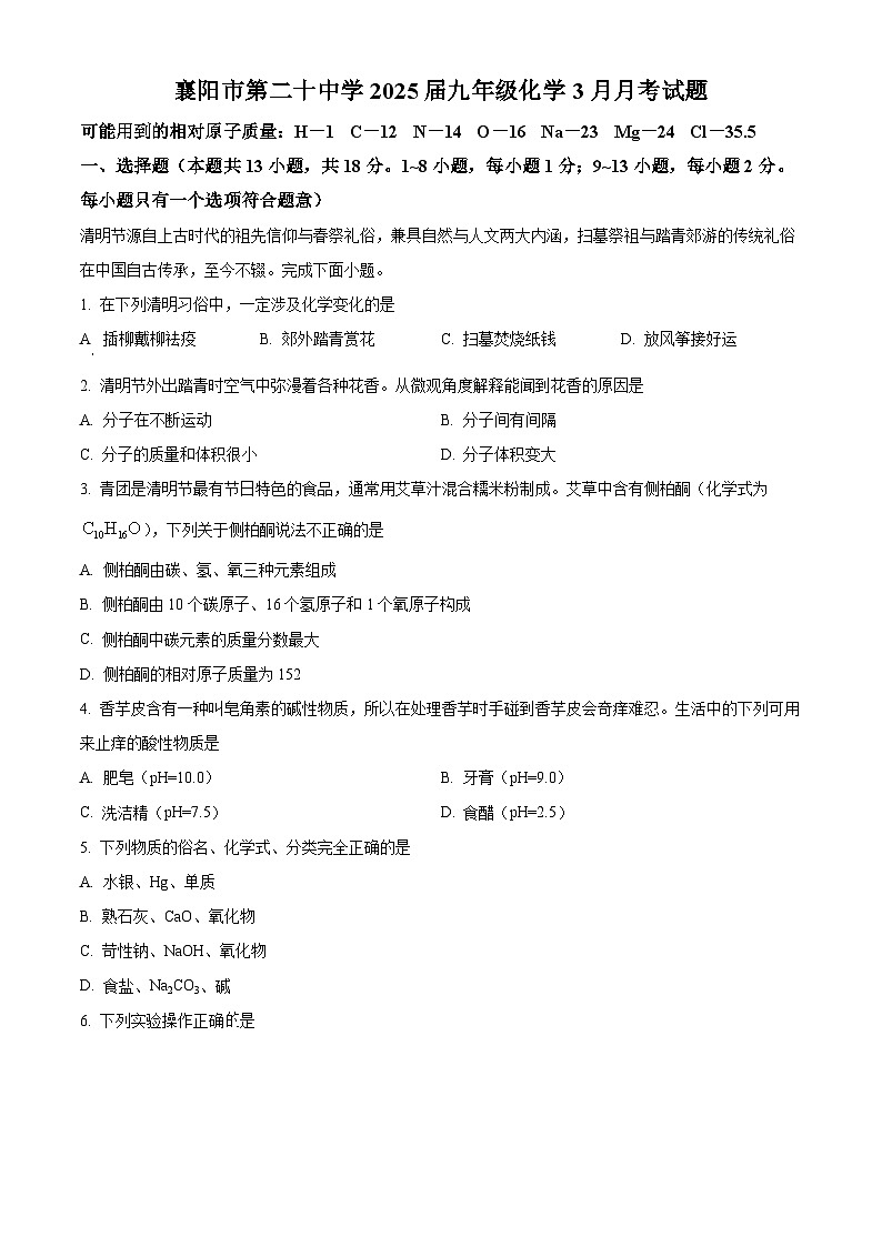 湖北省襄阳市第二十中教育集团2024-2025学年九年级下学期4月月考化学试题第1页