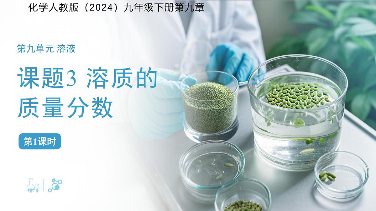 课题3 溶质的质量分数 第1课时 课件 化学人教版（2024）九年级下册第九章第1页