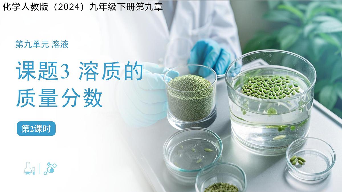 课题3 溶质的质量分数 第2课时 课件 化学人教版（2024）九年级下册第九章第1页
