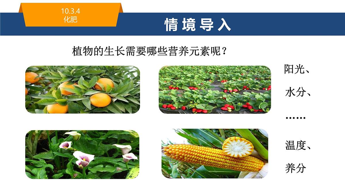 10.3.4化肥课件----2024-2025学年九年级化学人教版（2024）下册第2页