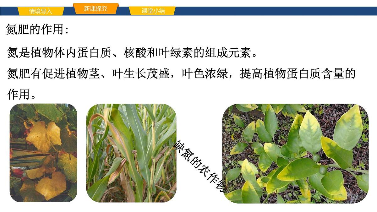 10.3.4化肥课件----2024-2025学年九年级化学人教版（2024）下册第8页