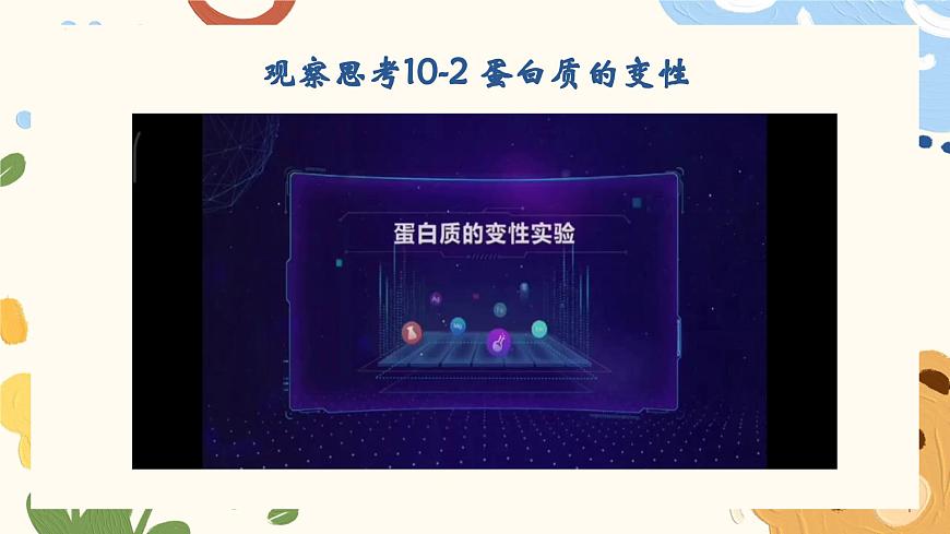 10.3 远离有毒物质-2024-2025学年九年级化学鲁教版（2024）下册课件第8页